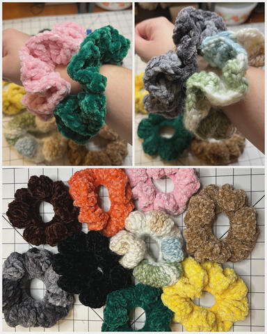 Various Scrunchies 2025 Various Scrunchies 2025